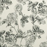 Clarke & Clarke BW1035 BLACK/WHITE Fabric