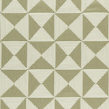 Clarke & Clarke ADISA WILLOW Drapery Fabric