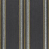 Clarke & Clarke IMANI CHARCOAL/CINNAMON Fabric