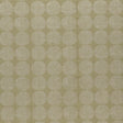 Clarke & Clarke KIKO WILLOW Drapery Fabric
