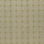 Clarke & Clarke KIKO WILLOW Drapery Fabric