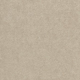 Clarke & Clarke YORUBA CINNAMON Fabric