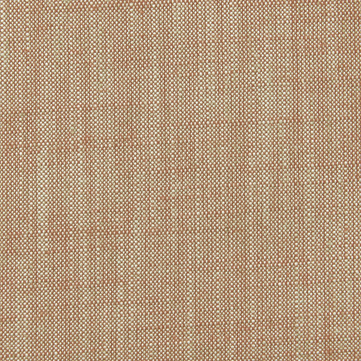 Clarke & Clarke BIARRITZ CINNAMON Fabric