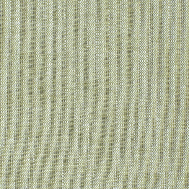 Clarke & Clarke BIARRITZ EUCALYPTUS Fabric