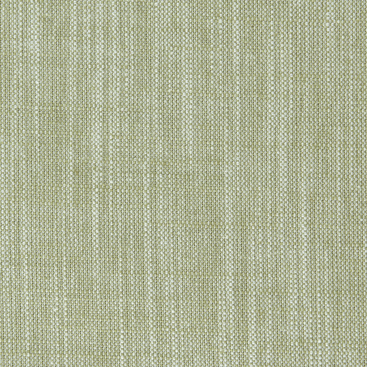 Clarke & Clarke BIARRITZ EUCALYPTUS Fabric