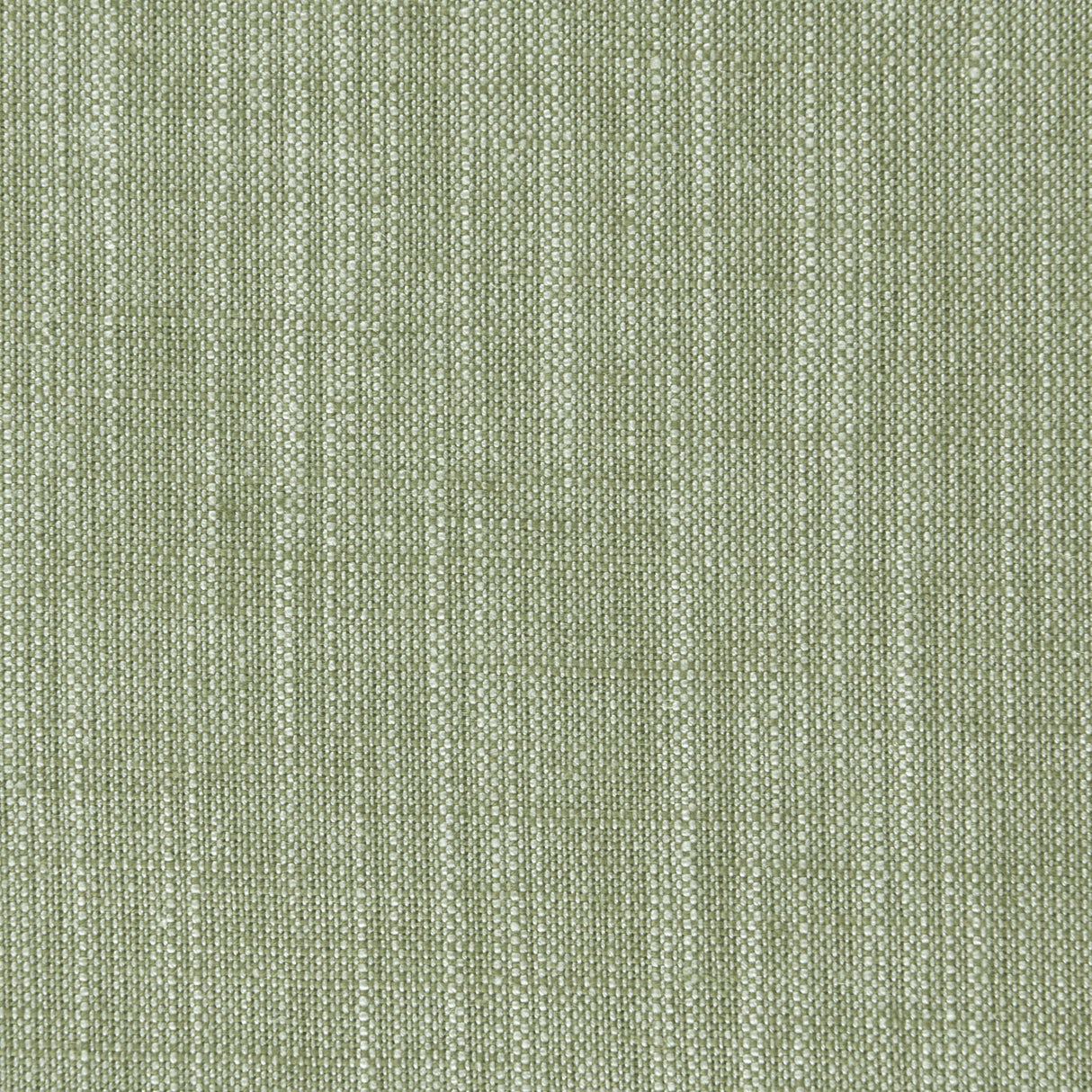 Clarke & Clarke BIARRITZ PARSLEY Fabric