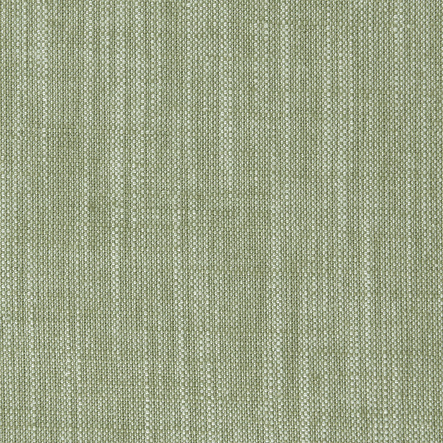Clarke & Clarke BIARRITZ PARSLEY Fabric