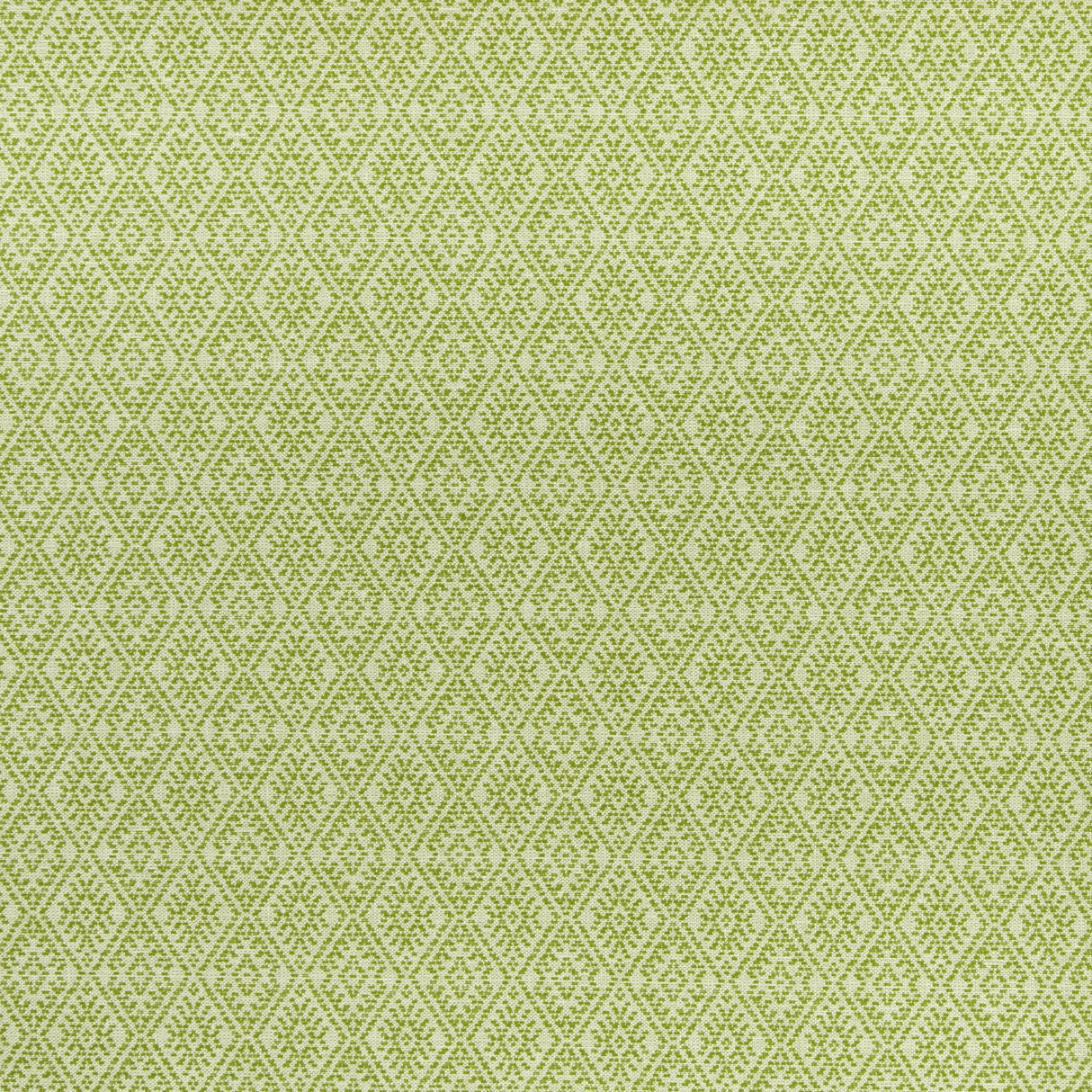 Clarke & Clarke HAMPSTEAD APPLE Fabric