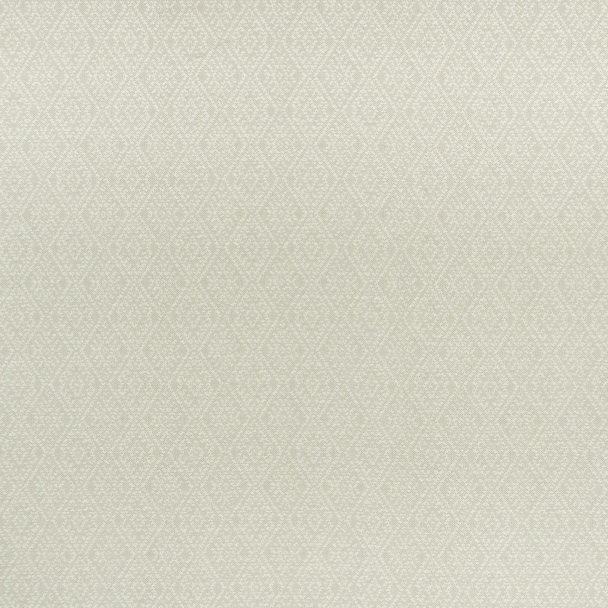 Clarke & Clarke HAMPSTEAD LINEN Fabric