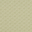 Clarke & Clarke KEATON OLIVE Fabric