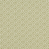 Clarke & Clarke KEATON OLIVE Fabric