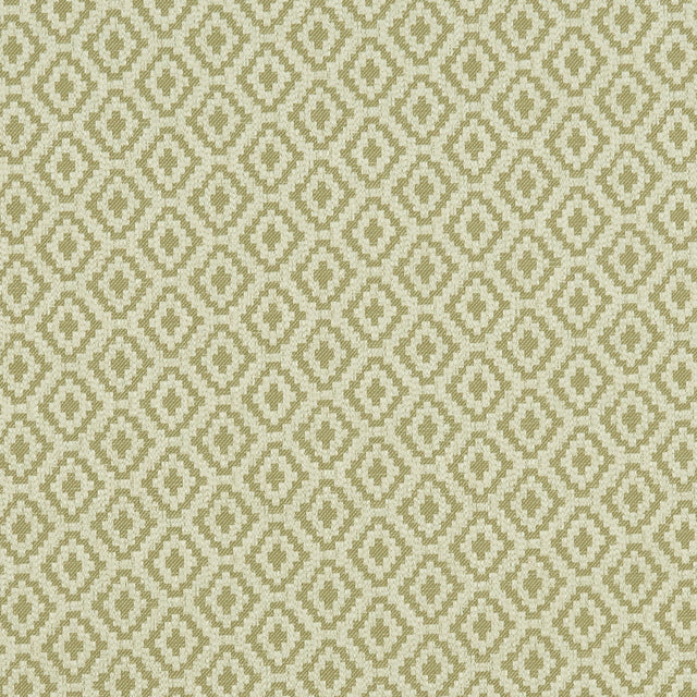 Clarke & Clarke KEATON OLIVE Fabric