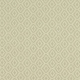 Clarke & Clarke KEATON SILVER Fabric