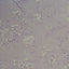 Clarke & Clarke SIMONE HEATHER Fabric