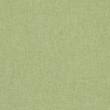 Clarke & Clarke MIDORI APPLE Drapery Fabric