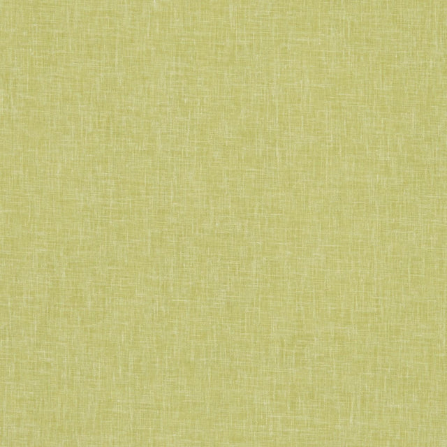 Clarke & Clarke MIDORI CITRON Drapery Fabric