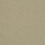 Clarke & Clarke MIDORI HAZEL Drapery Fabric