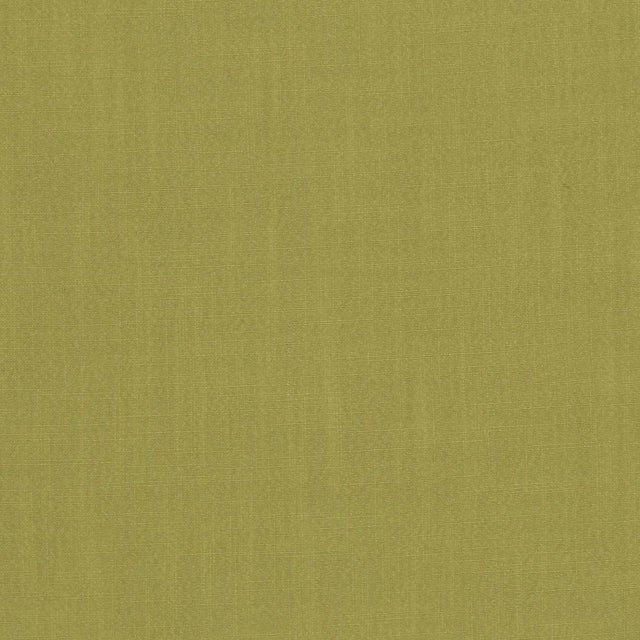 Clarke & Clarke HUDSON CITRUS Fabric