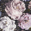Clarke & Clarke FLORETTA BLUSH/CHARCOAL Fabric