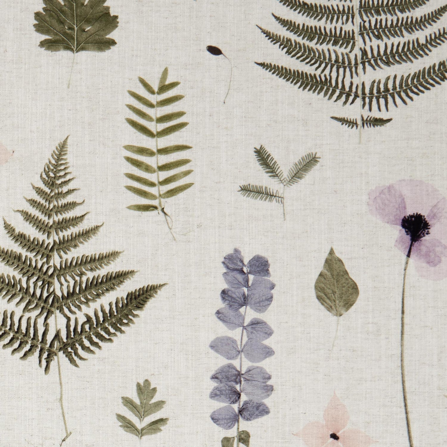 Clarke & Clarke Herbarium Blush/Natural Fabric – DecoratorsBest