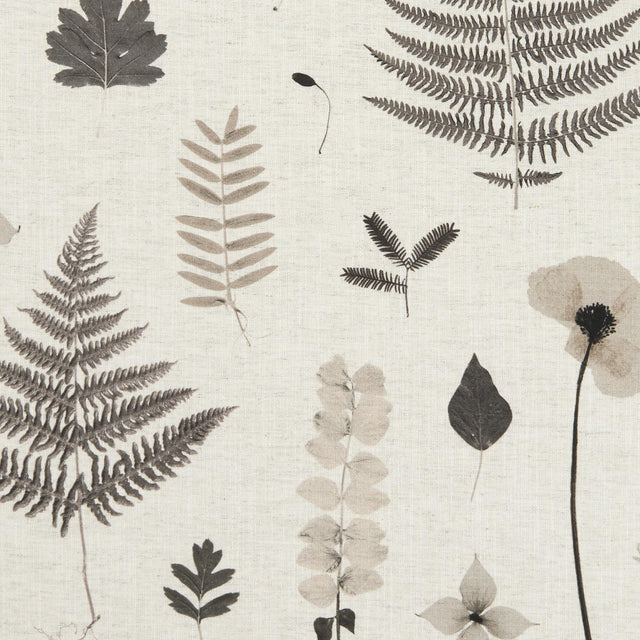 Clarke & Clarke HERBARIUM CHARCOAL/NATURAL Fabric