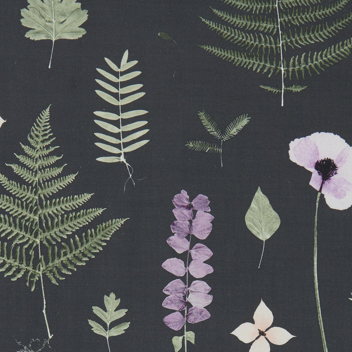 Clarke & Clarke HERBARIUM HEATHER/EBONY Fabric