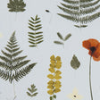 Clarke & Clarke HERBARIUM MINERAL Fabric