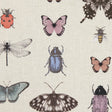 Clarke & Clarke PAPILIO BLUSH/NATURAL Fabric