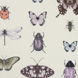 Clarke & Clarke PAPILIO HEATHER/IVORY Fabric