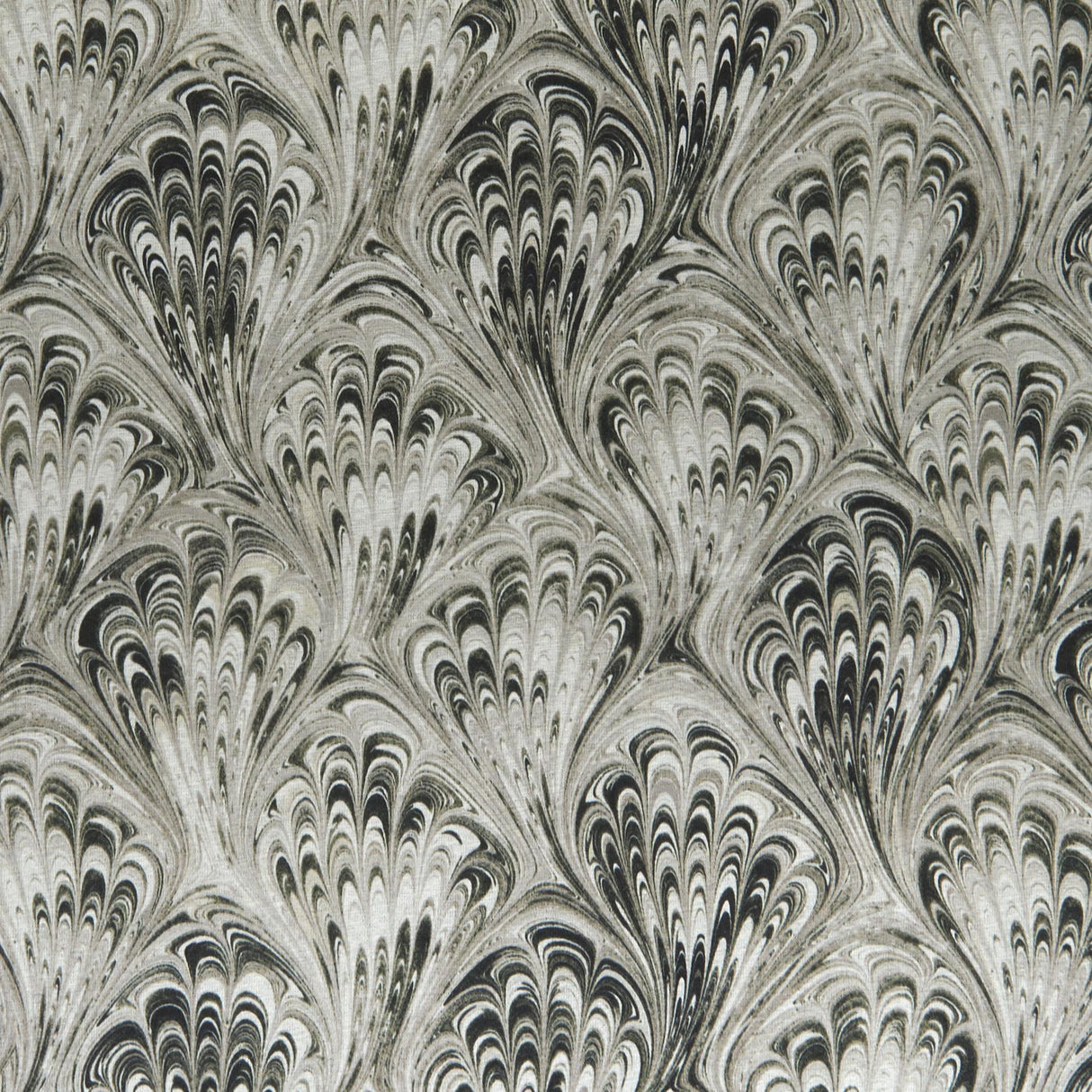 Clarke & Clarke PAVONE CHARCOAL/NATURAL Fabric
