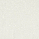 Clarke & Clarke BIBURY IVORY Drapery Fabric