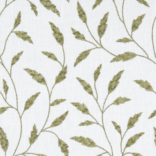 Clarke & Clarke FAIRFORD OLIVE Drapery Fabric
