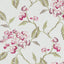 Clarke & Clarke SUMMERBY RASPBERRY Drapery Fabric