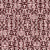 Clarke & Clarke LUNAR RUBY Fabric