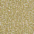 Clarke & Clarke NEBULA ANTIQUE Fabric