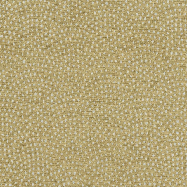 Clarke & Clarke NEBULA ANTIQUE Fabric