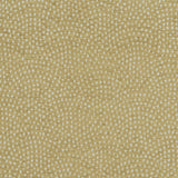 Clarke & Clarke NEBULA ANTIQUE Fabric