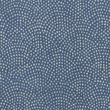 Clarke & Clarke NEBULA DENIM Fabric