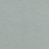 Clarke & Clarke NEBULA DUCKEGG Fabric