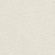 Clarke & Clarke NEBULA IVORY Fabric