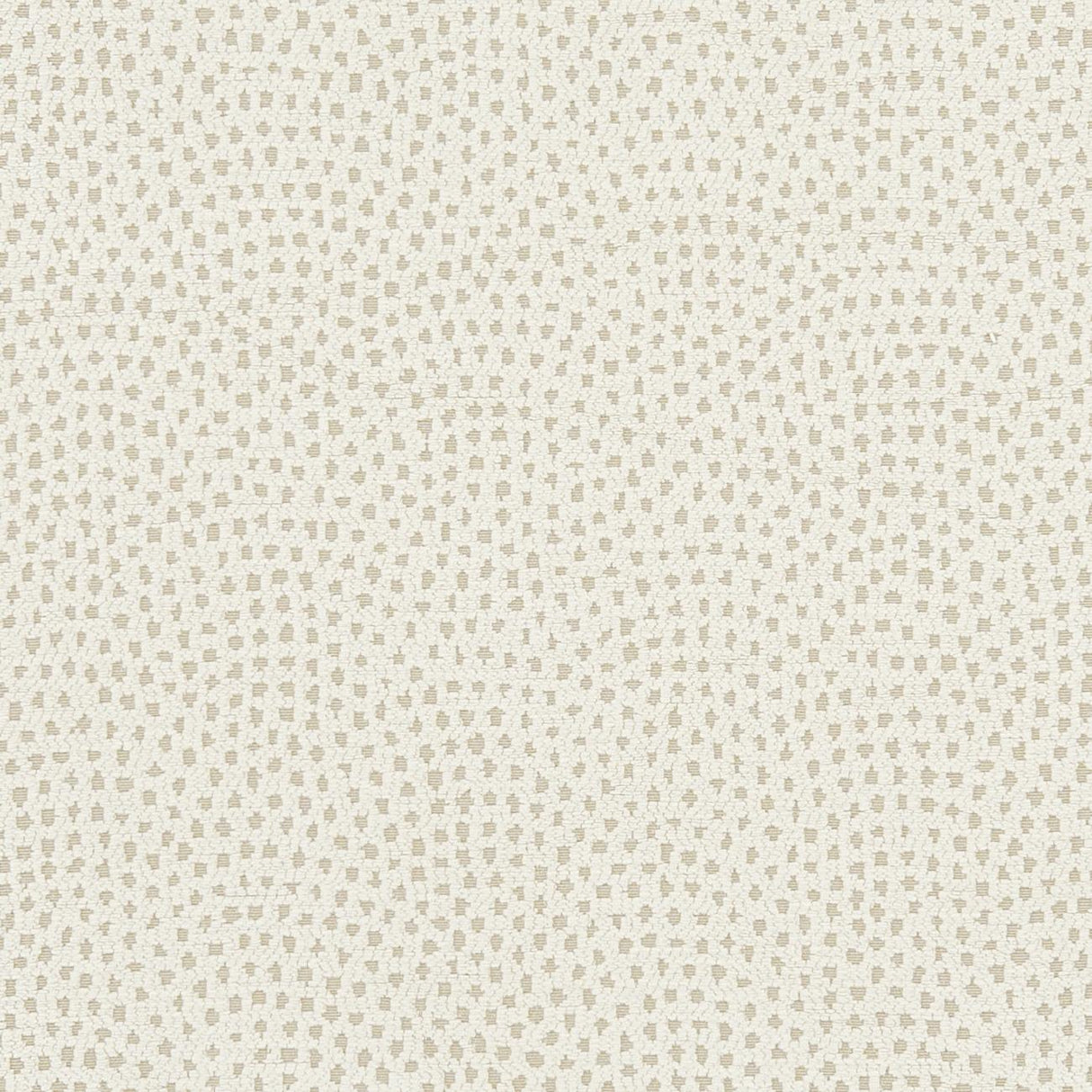Clarke & Clarke NEBULA IVORY Fabric