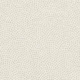 Clarke & Clarke NEBULA IVORY Fabric