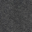 Clarke & Clarke NEBULA NOIR Fabric
