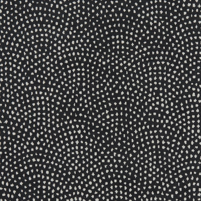 Clarke & Clarke NEBULA NOIR Fabric