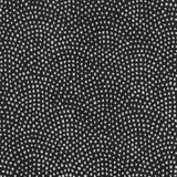 Clarke & Clarke NEBULA NOIR Fabric