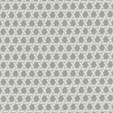 Clarke & Clarke SATURN CHARCOAL Fabric