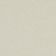 Clarke & Clarke TRINITY IVORY Fabric