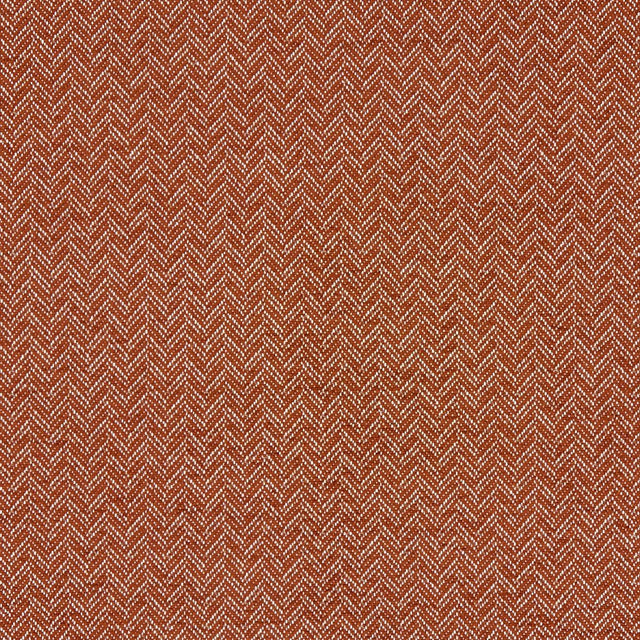 Clarke & Clarke TRINITY SPICE Fabric