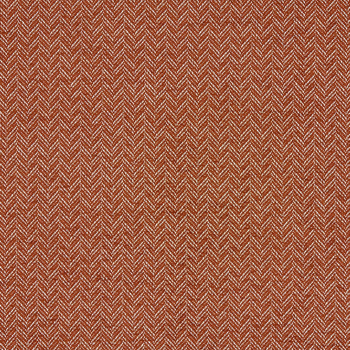 Clarke & Clarke TRINITY SPICE Fabric