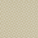 Clarke & Clarke VERTEX ANTIQUE Fabric